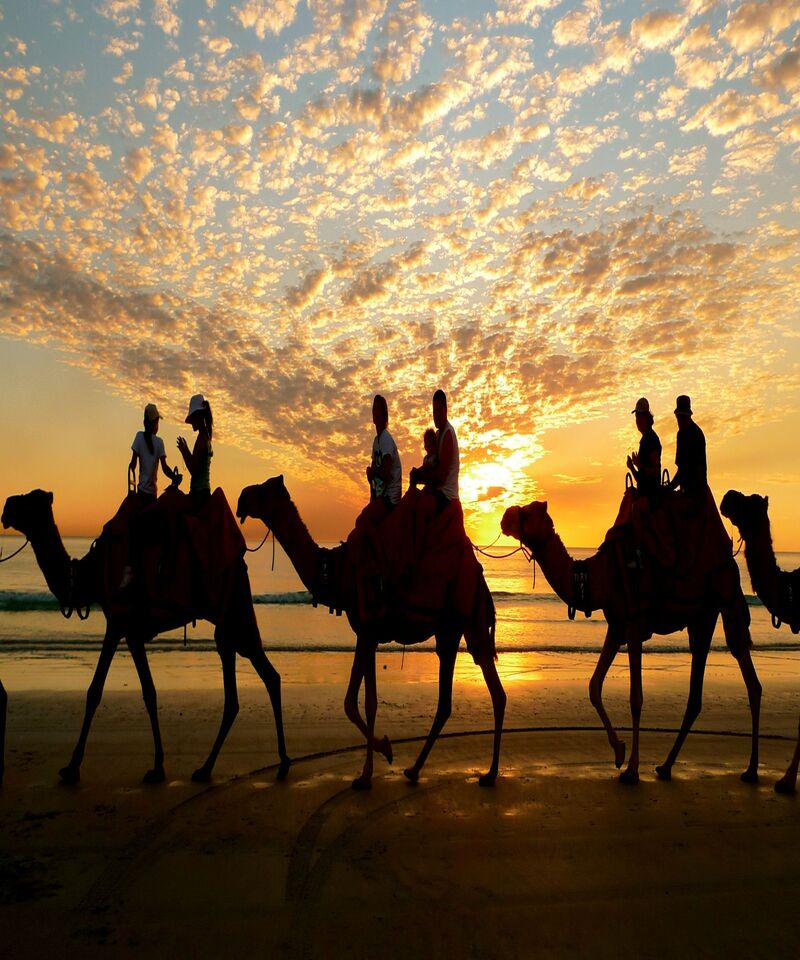 Tangier Morocco vacation packages and camel rides