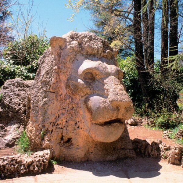 La estatua del León del Atlas en Ifrane con nuestro tour de 3 días de Fez a Marrakech por el desierto