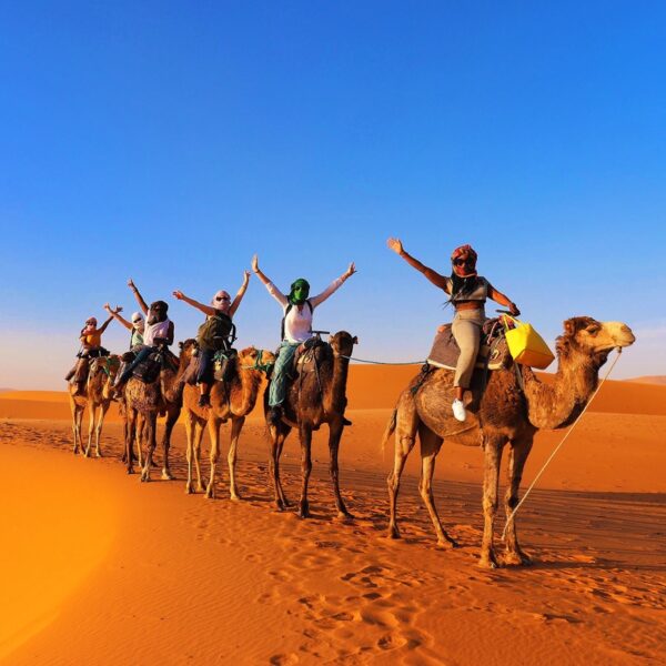 Excursión a camello durante el viaje de 3 días por el desierto desde Fez.