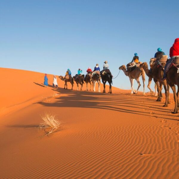 Viajeros haciendo senderismo en camello por el desierto de Merzouga durante el viaje de 3 días desde Casablanca.