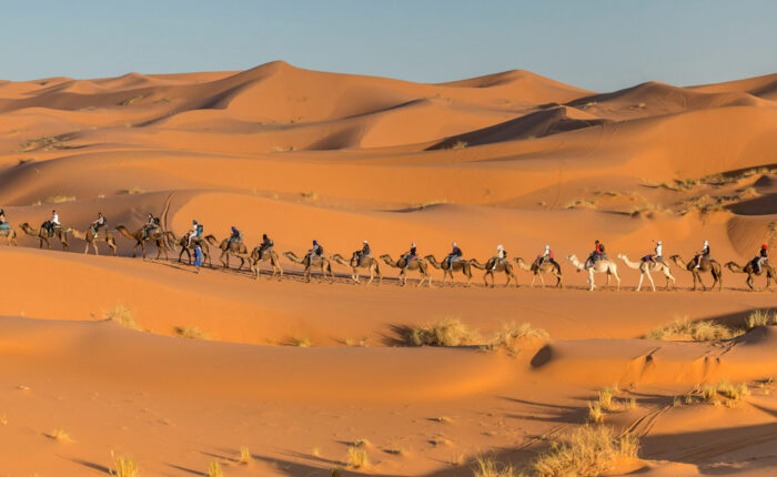 Excursión en camello por el desierto de Merzouga, en nuestro tour de 8 días por Marruecos desde Casablanca