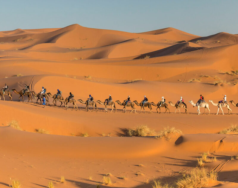 Merzouga desert camel ride, experience it on our 8-day Morocco tour from Casablanca