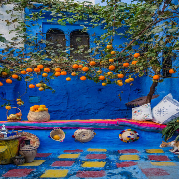 Orange tree in Chefchaouen, place for taking pictures during our 2-day tour from Fes.
