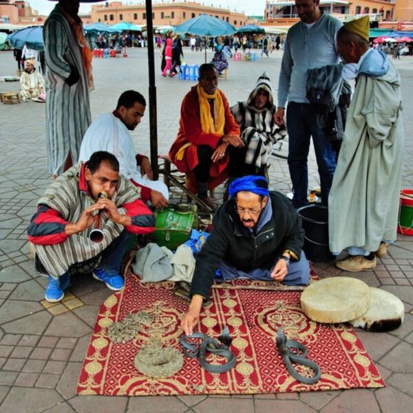 Snake charmer in Marrakech with the 7-day tour in Morocco .