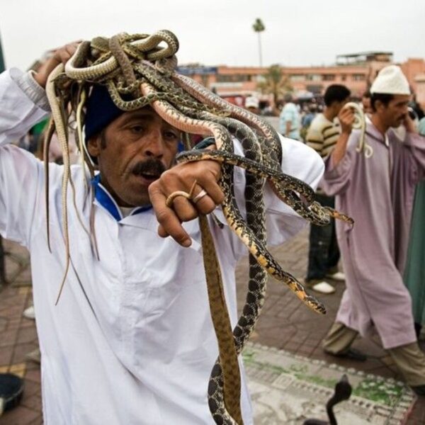 Un encantador de serpientes en Marrakech durante nuestra excursión de un día desde Casablanca