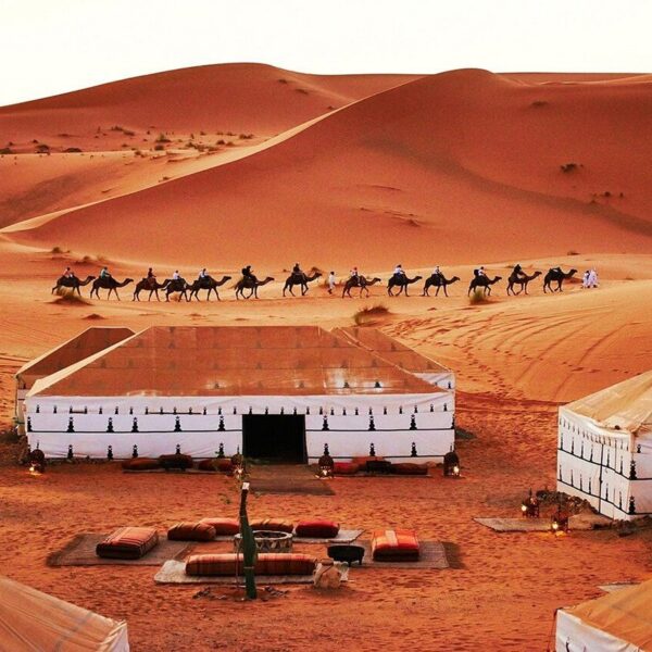 Desert camp and a camel caravan in the back.