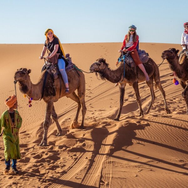 Camel trekking in the desert during 4 day Marrakech desert tours to Merzouga