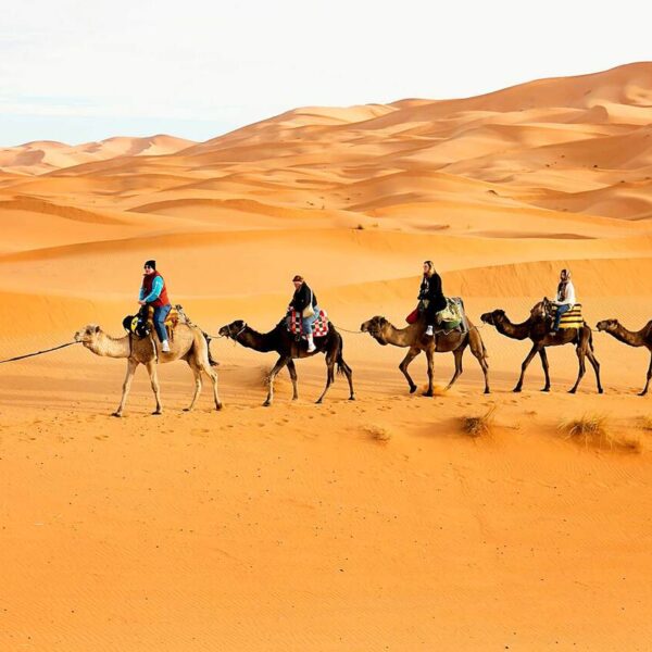 Una caravana de camellos en pleno desierto de Merzouga con nuestro itinerario de viaje de 12 días por Marruecos.