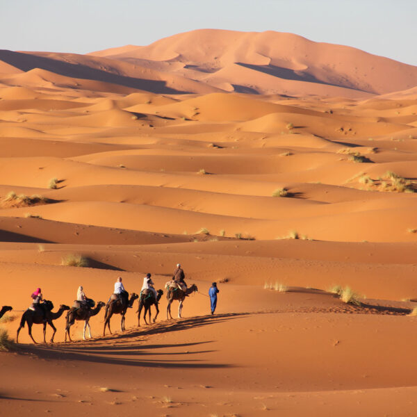 Camel rice experience in Morocco during the 4-day Merzouga tour from Ouarzazate