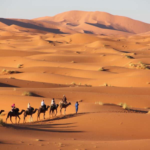 Esperienza di riso a cammello in Marocco durante il tour di 4 giorni di Merzouga da Ouarzazate