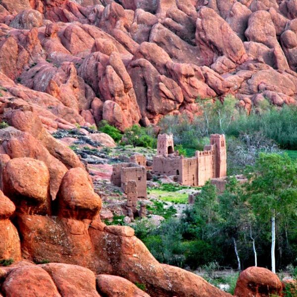 Moonkey toes mountains in Boumalne Dades during our 5 days desert tour from Marrakech.