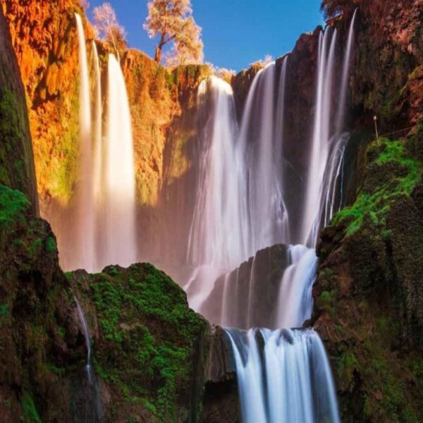 The waterfalls of Ouzoud with our day trip from Marrakech.