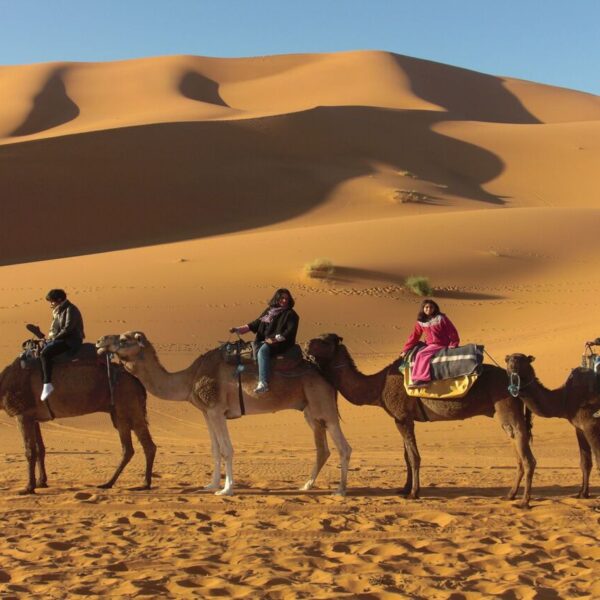 Desert camel ride, included in the 7-day Morocco tour from Casablanca to Marrakech