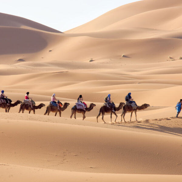 Desert camel ride with our 5-day tour from Tangier to Marrakech