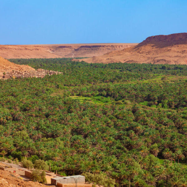 Ziz Valley near the Sahara desert.