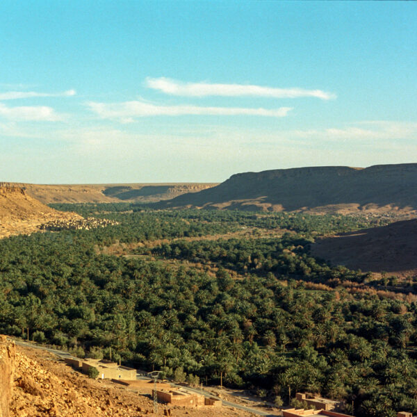 Ziz valley with its palm grove during the 2 day desert tour from Fes to Merzouga.