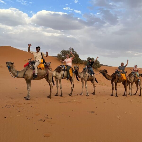 Camel caravan in Merzouga desert.