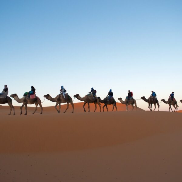 Merzouga camel ride, the highlight of every Moroccan desert tour