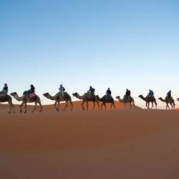 Paseo en camello por Merzouga, el plato fuerte de toda ruta por el desierto marroquí