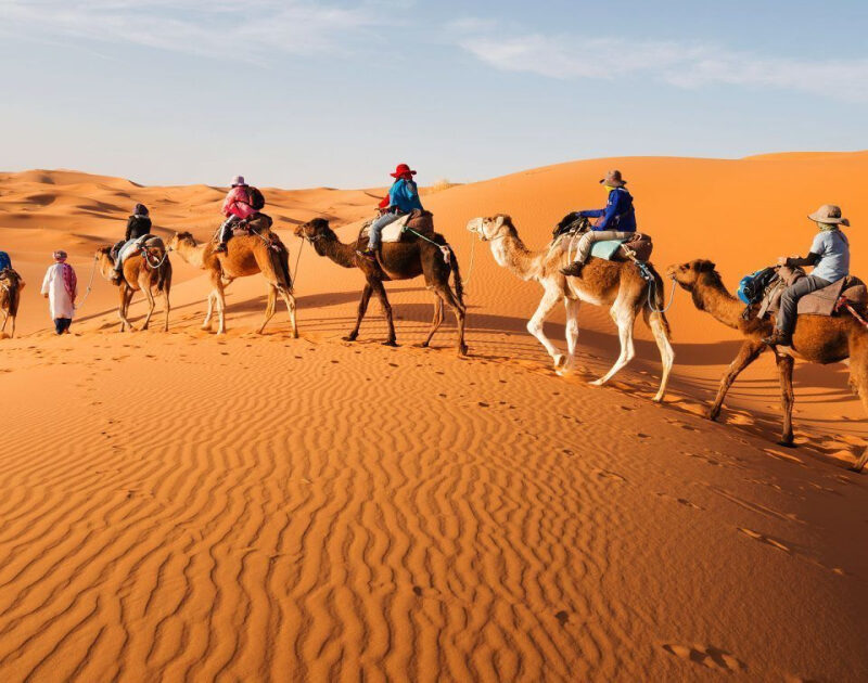 camel trekking during 3-day Fes to Marrakech desert tour