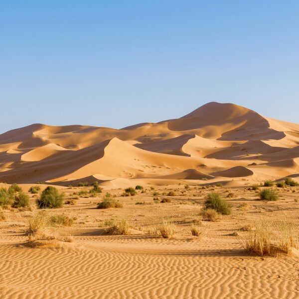 Sand dunes in Merzouga