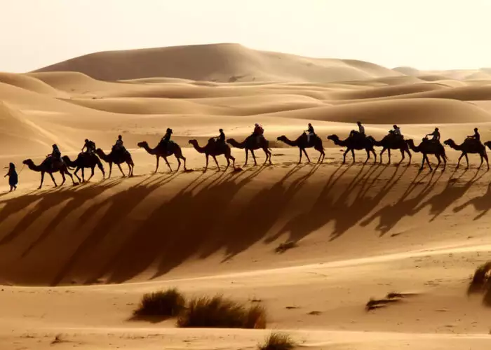 Giro in cammello a Merzouga durante il nostro tour di 6 giorni in Marocco da Casablanca