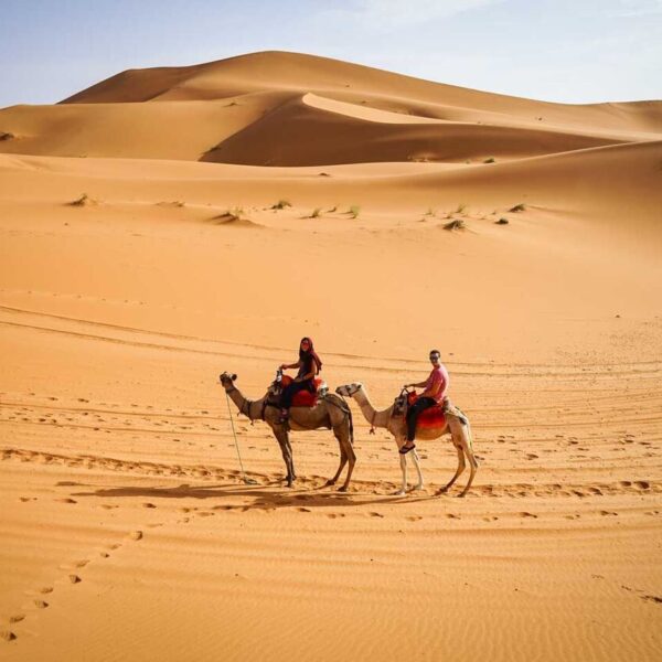 Merzouga desert in Morocco, camel ride activity