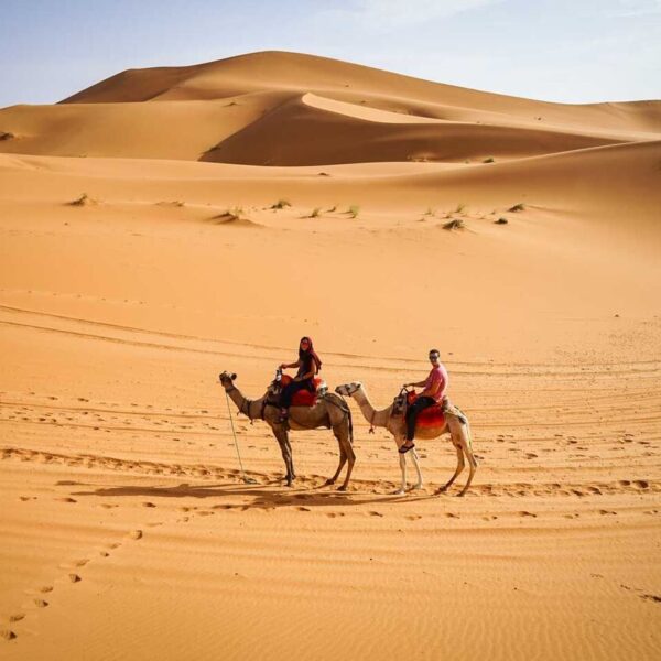 Deserto di Merzouga in Marocco, attività a dorso di cammello