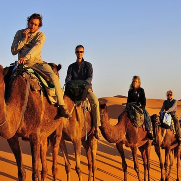 Desert camel ride, top experience of the 4 days tour in Morocco from Casablanca to Marrakech