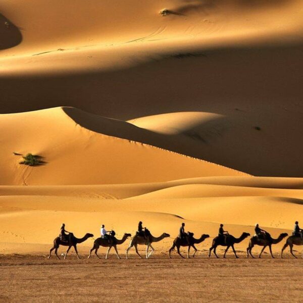 Paseo en camello por el desierto de Merzouga, lo más destacado del viaje de 9 días por Marruecos