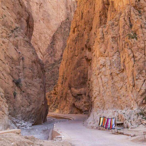 Todgha Gorges in Morocco, canyons to visit with the 7-day Morocco tour from Casablanca to Marrakech