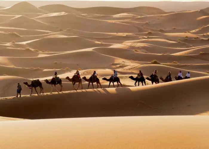 Giro in cammello nel deserto durante il tour di 7 giorni in Marocco da Casablanca a Marrakech