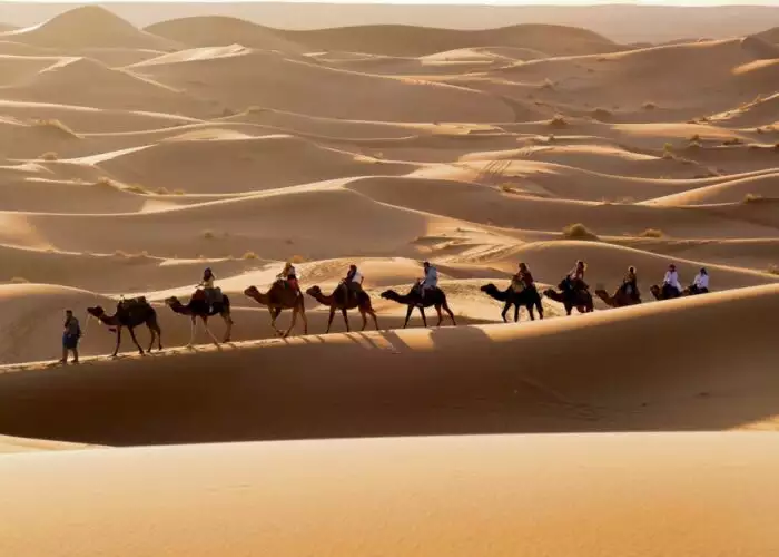 Desert camel ride during the 7-day Morocco tour from Casablanca to Marrakech