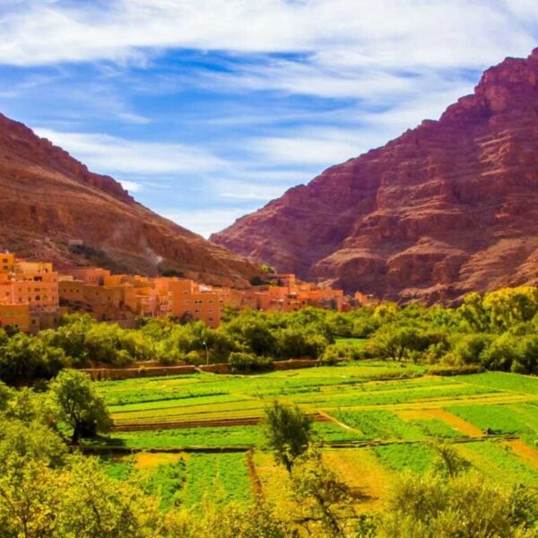 The valley of Boumalne Dades.