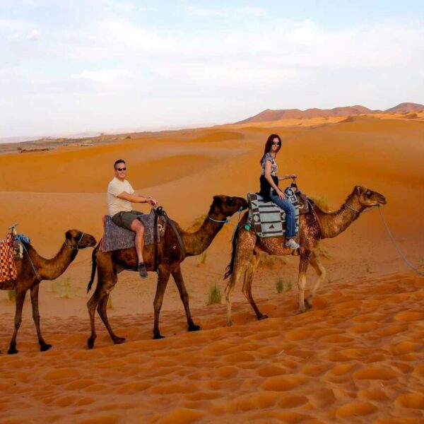 Una familia montando camellos en el desierto de Merzouga durante nuestro viaje de 7 días desde Agadir.