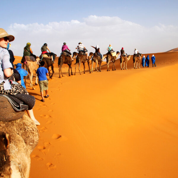 Tourists riding camels across the golden dunes of Merzouga with the 5-day tour from Marrakech.