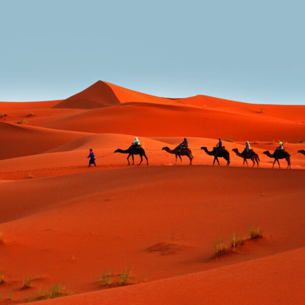 Una carovana di cammelli nel deserto di Merzouga durante il viaggio di 7 giorni da Fes.