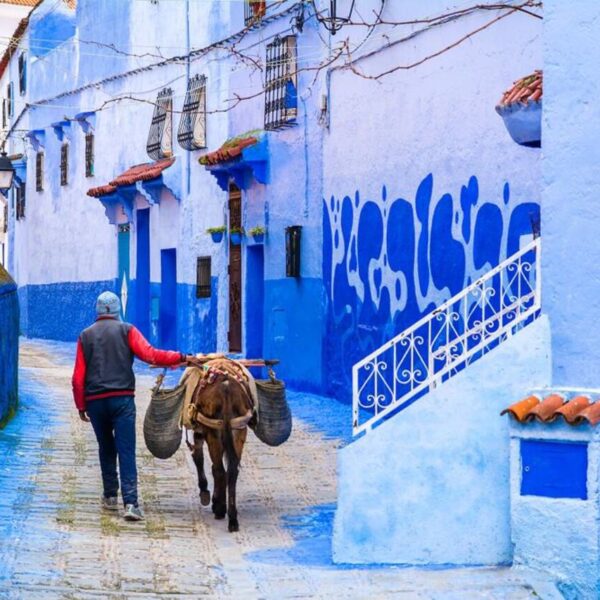 A person with his horse in the blue city of Morocco.