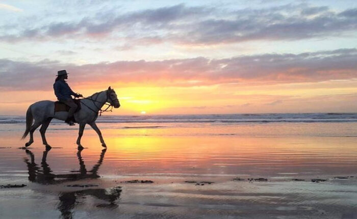 Una persona a cavallo sulla spiaggia durante il nostro tour di 2 giorni da Marrakech a Essaouira.