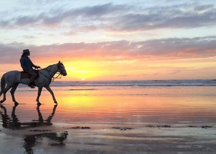 Una persona a cavallo sulla spiaggia durante il nostro tour di 2 giorni da Marrakech a Essaouira.