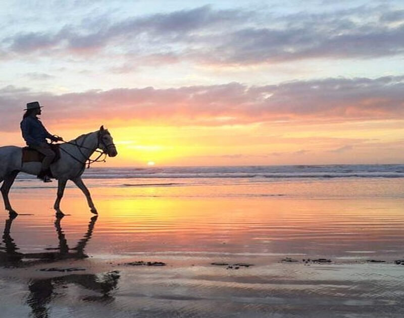 Una persona a cavallo sulla spiaggia durante il nostro tour di 2 giorni da Marrakech a Essaouira.