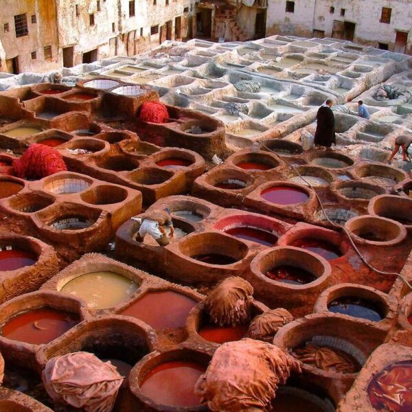 The tanneries in Fes: an attraction of the 8-day tour.