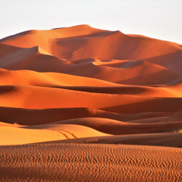 Le dune di sabbia dorata dell'Erg Chebbi a Merzouga durante il tour di 6 giorni in Marocco da Agadir