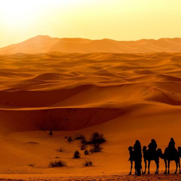 La gente monta en camello en el desierto de Merzouga durante los 10 días de vacaciones desde Tánger.