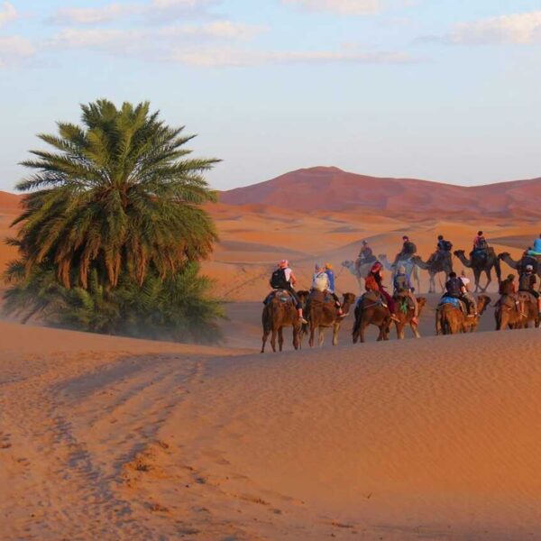 Camel trekking in Merzouga during the 3-day tour from Ouarzazate to Fes.