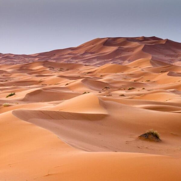 Le dune di sabbia dorata di Merzouga durante il tour di 11 giorni in Marocco.