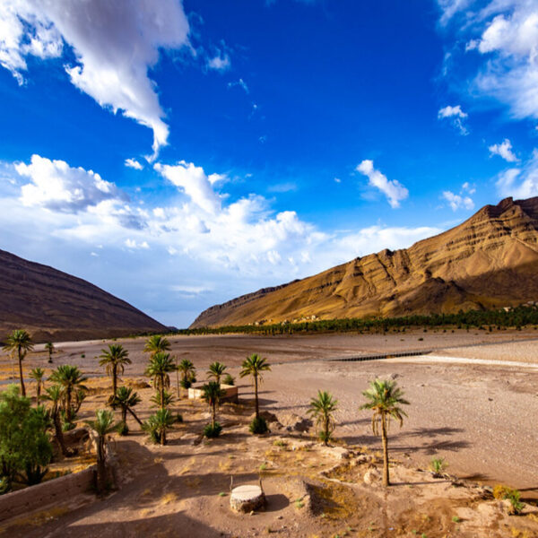 El valle del Draa en Marruecos durante nuestro viaje de 4 días desde Agadir.