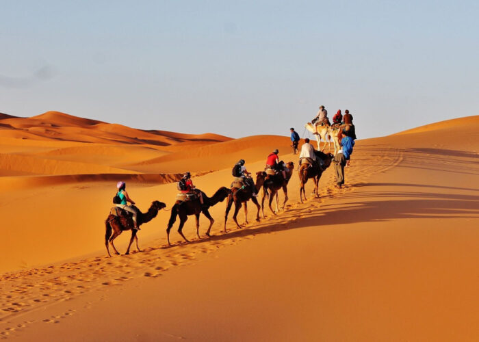 A camel caravan crossing the Sahara desert of Morocco during the 4-day tour from Tetouan to Marrakech.