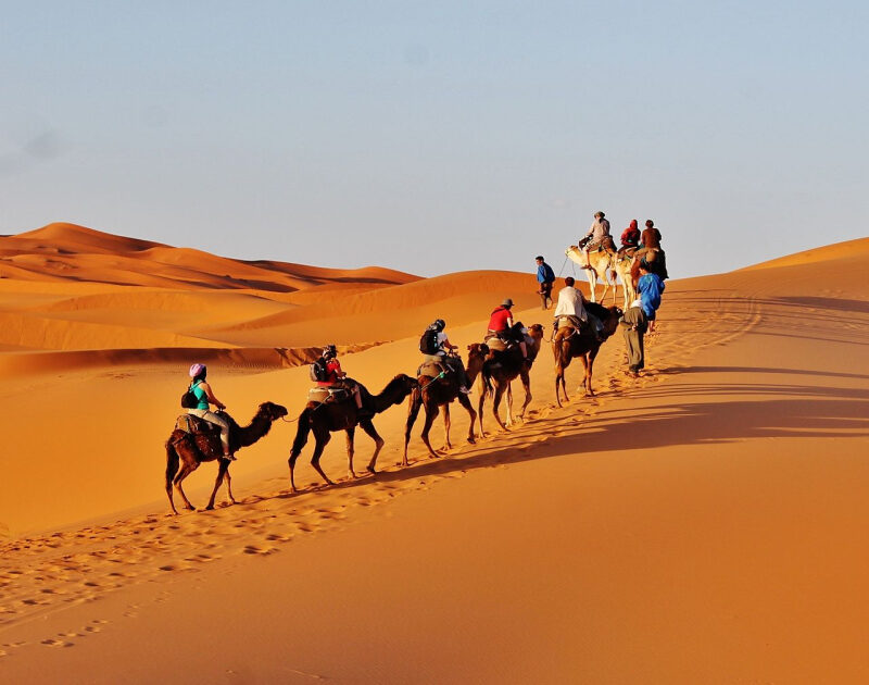 A camel caravan crossing the Sahara desert of Morocco during the 4-day tour from Tetouan to Marrakech.