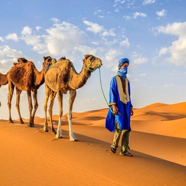 Tres camellos y su conductor en el desierto de Merzouga durante el viaje de 4 días desde Ouarzazate.